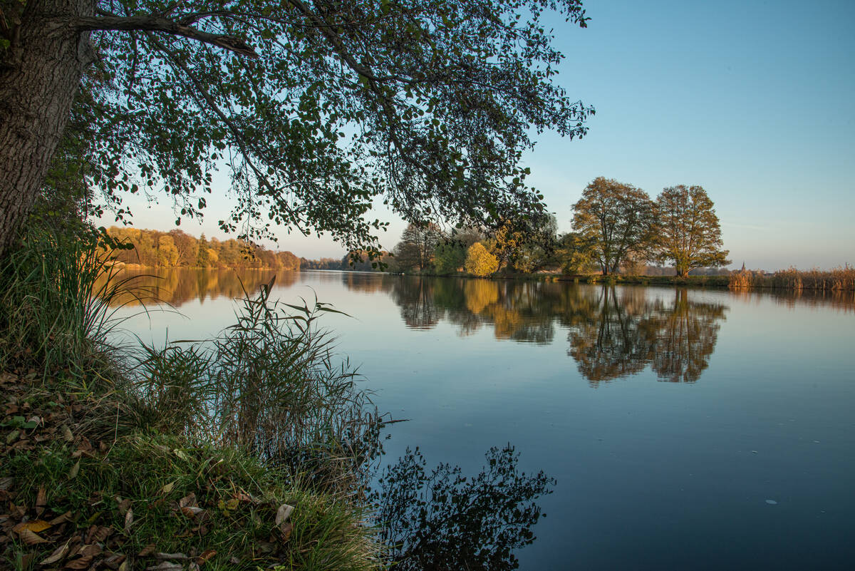 Abzweigung des Stadtkanals von der Havel, Baum und diesseitiges Ufer im Vordergrund, Baumreihe im Abendlicht am gegenüberliegenden