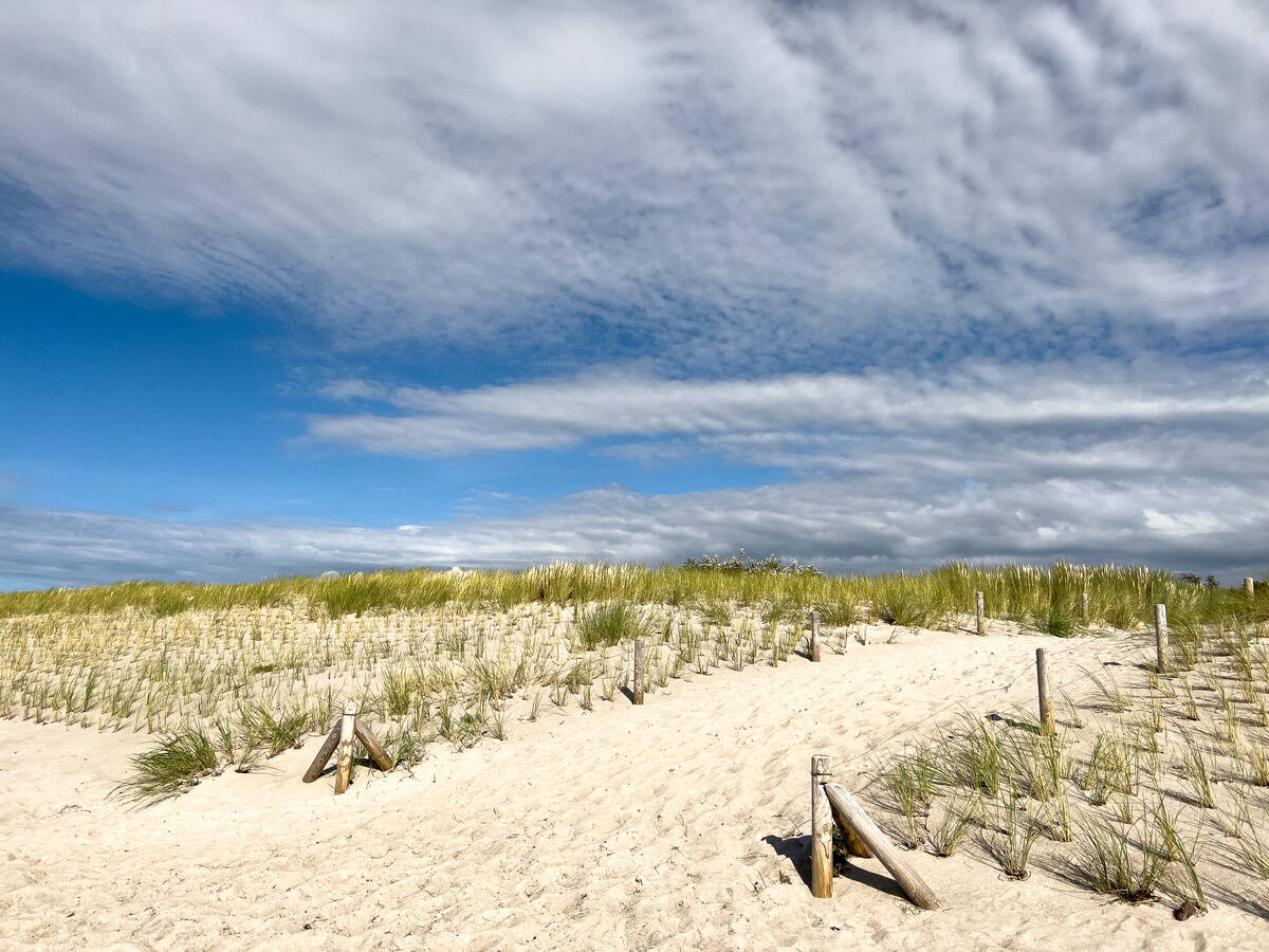 Dünenlandschaft am Ostsee-Strand in Ahrenshoop