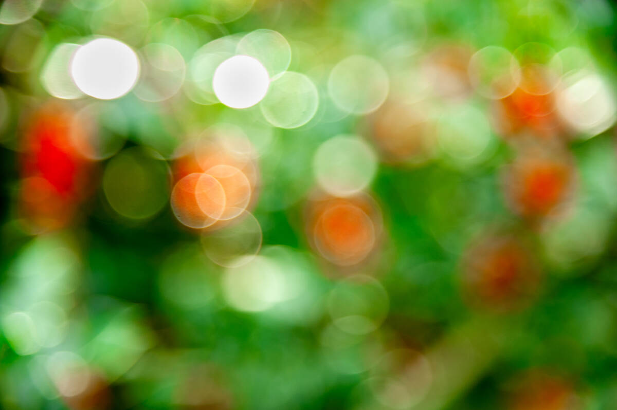 Farbige Lichtkreise im Bokeh-Stil: warmes Weiß, Grün und Rot