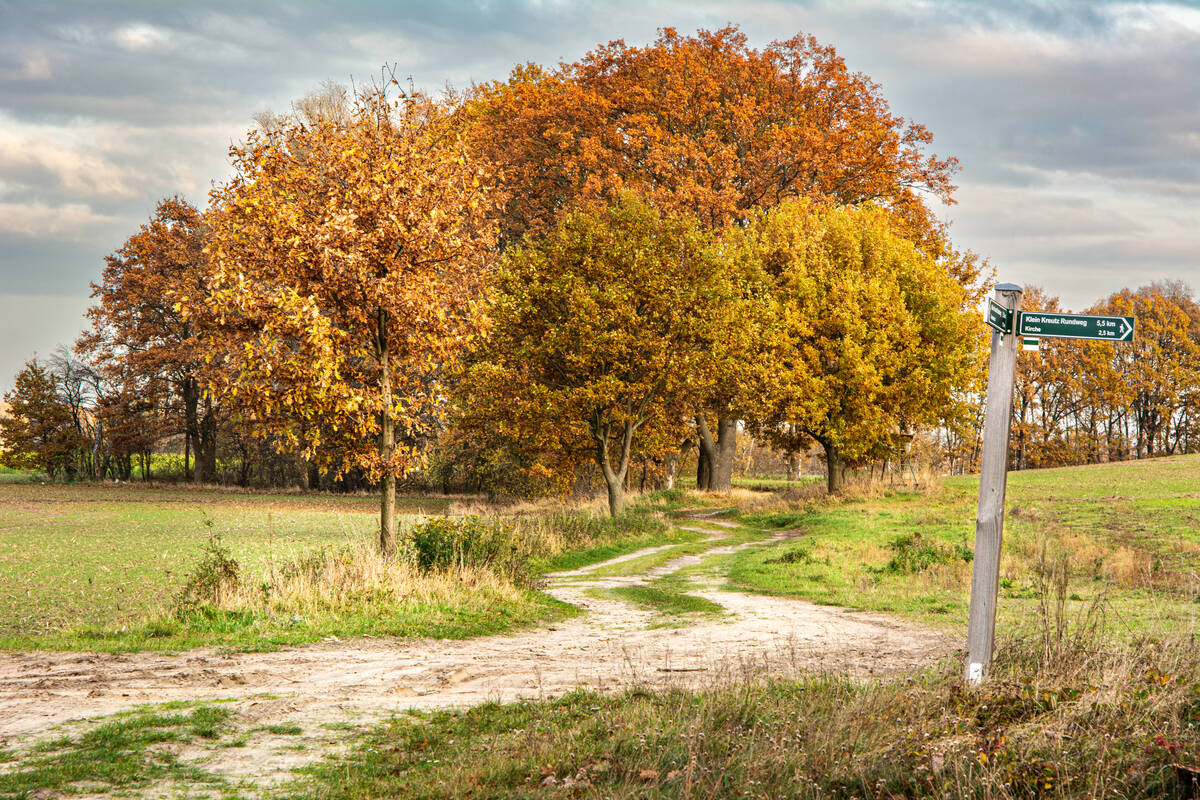 Feldwegkreuzung mit herbstbunten Bäumen im Hintergrund