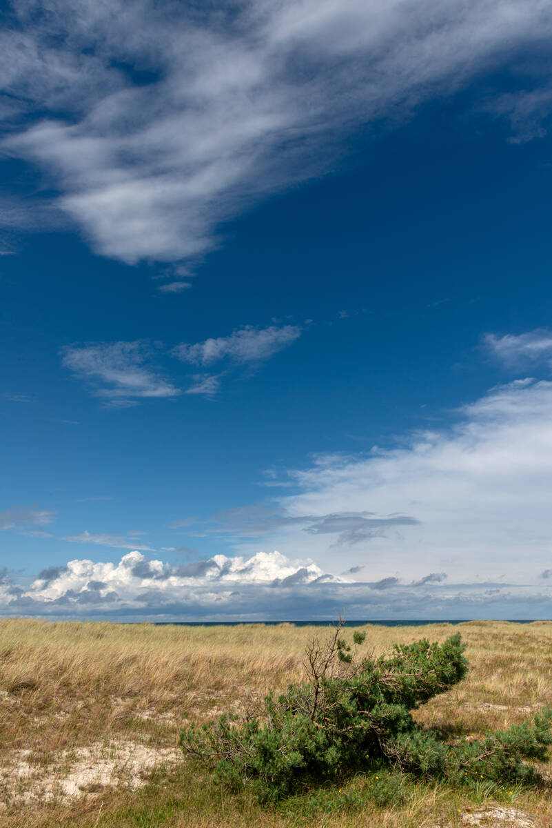 Himmel über der Dünenvegetation am Darßer Ort