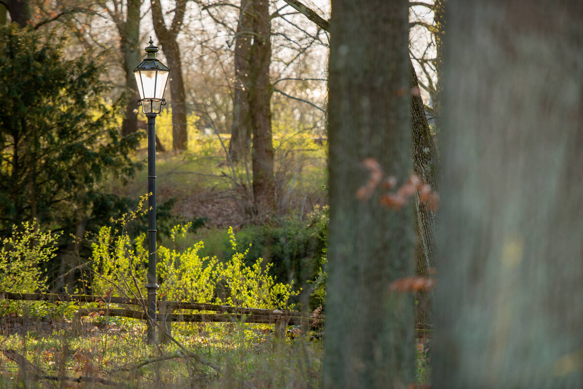 Laterne im Wald im Gegenlicht Anfang April