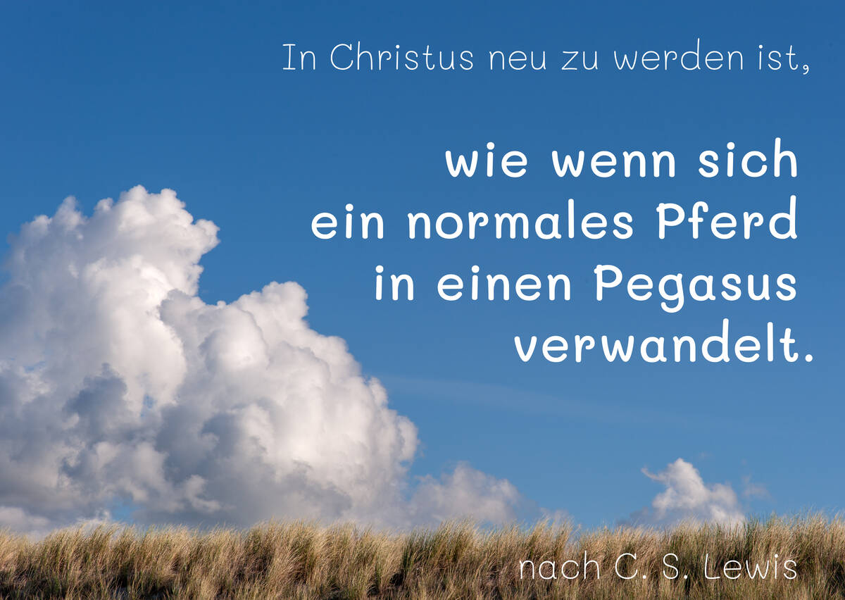 Normales Pferd verwandelt sich zu einem Pegasus