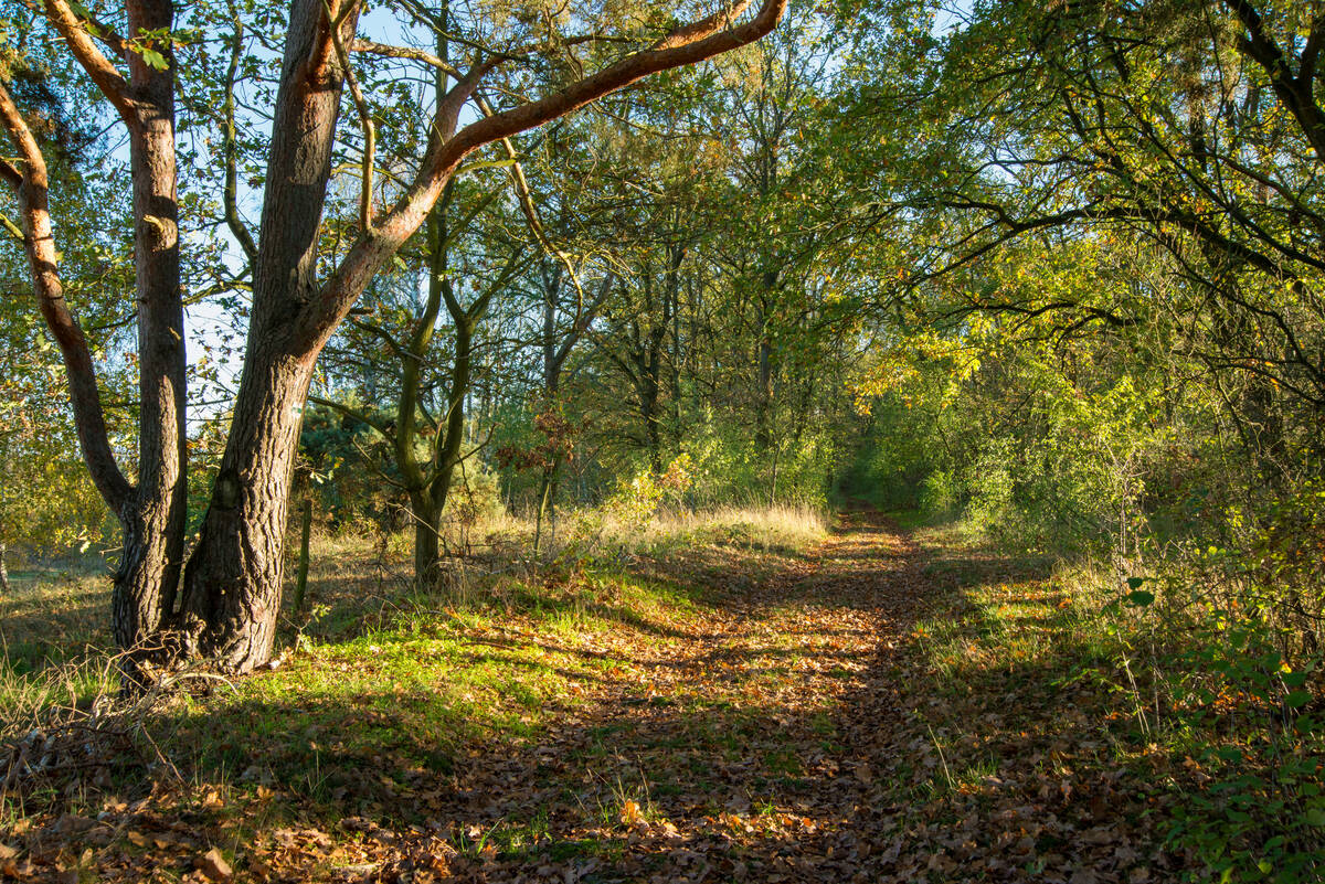 Rundweg Richtung Klein Kreutz Anfang November