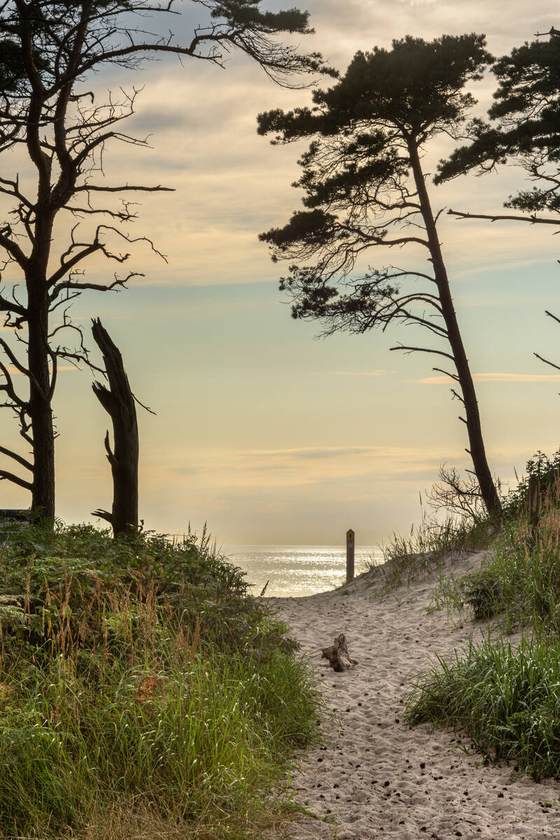 Sandweg zum Meer bei abendlich tiefstehender Sonne