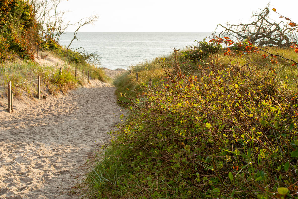 Sandweg durch die Dünen zum Meer nach dem Regen – Blende f/16