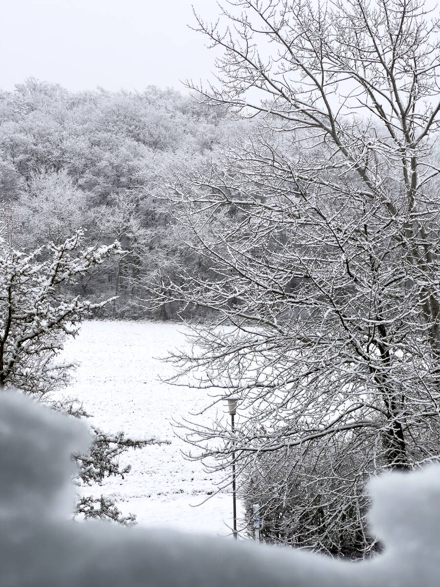 Schneelandschaft am Morgen beim Blick aus dem Fenster