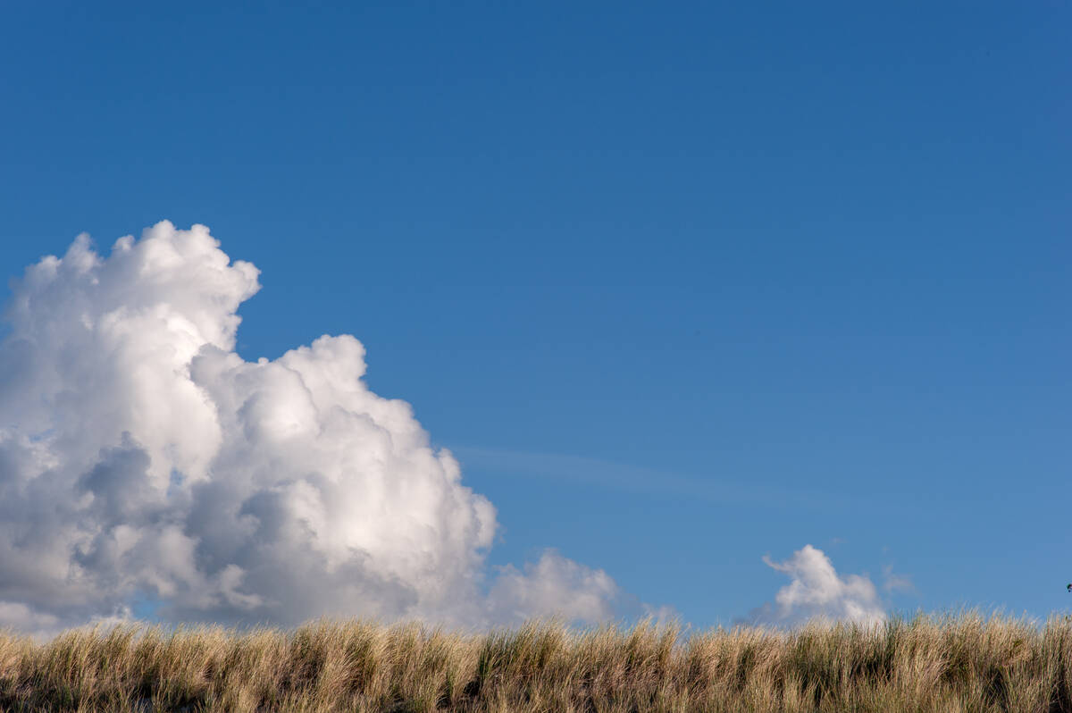 Wolken über den Dünen, auf denen dicht Gräser wachsen